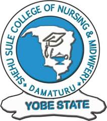 Shehu Sule College of Nursing & Midwifery Admission Form Is On Sale for 2023/2024