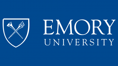Financial Aid at Emory University for International Students in the USA