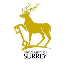 University of Surrey's International Excellence Postgraduate Award