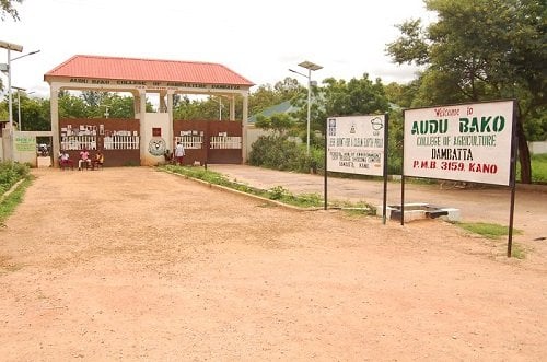 Audu Bako College of Agriculture Admission 2023/2024